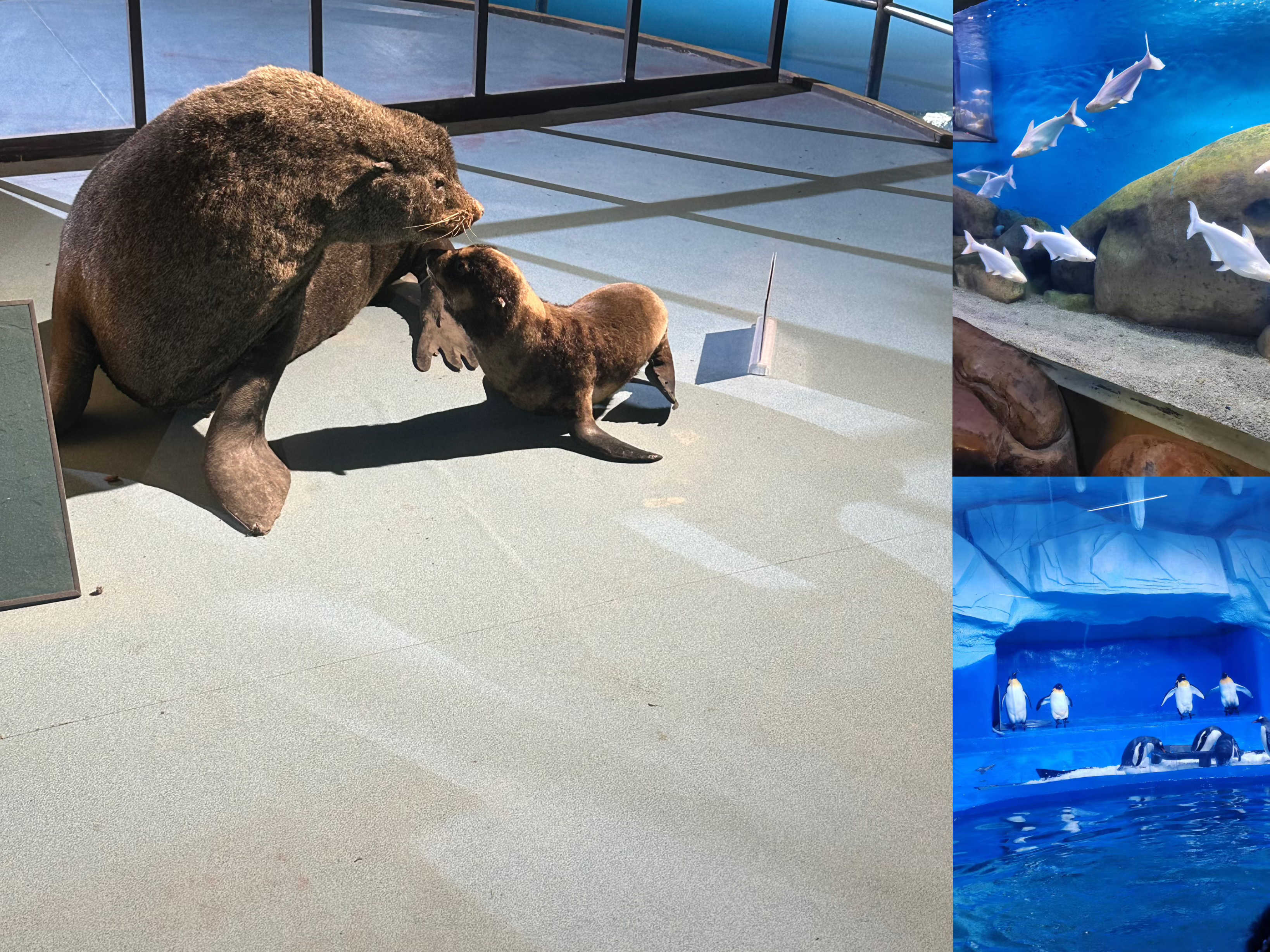 918������(�й���)�ٷ���վ