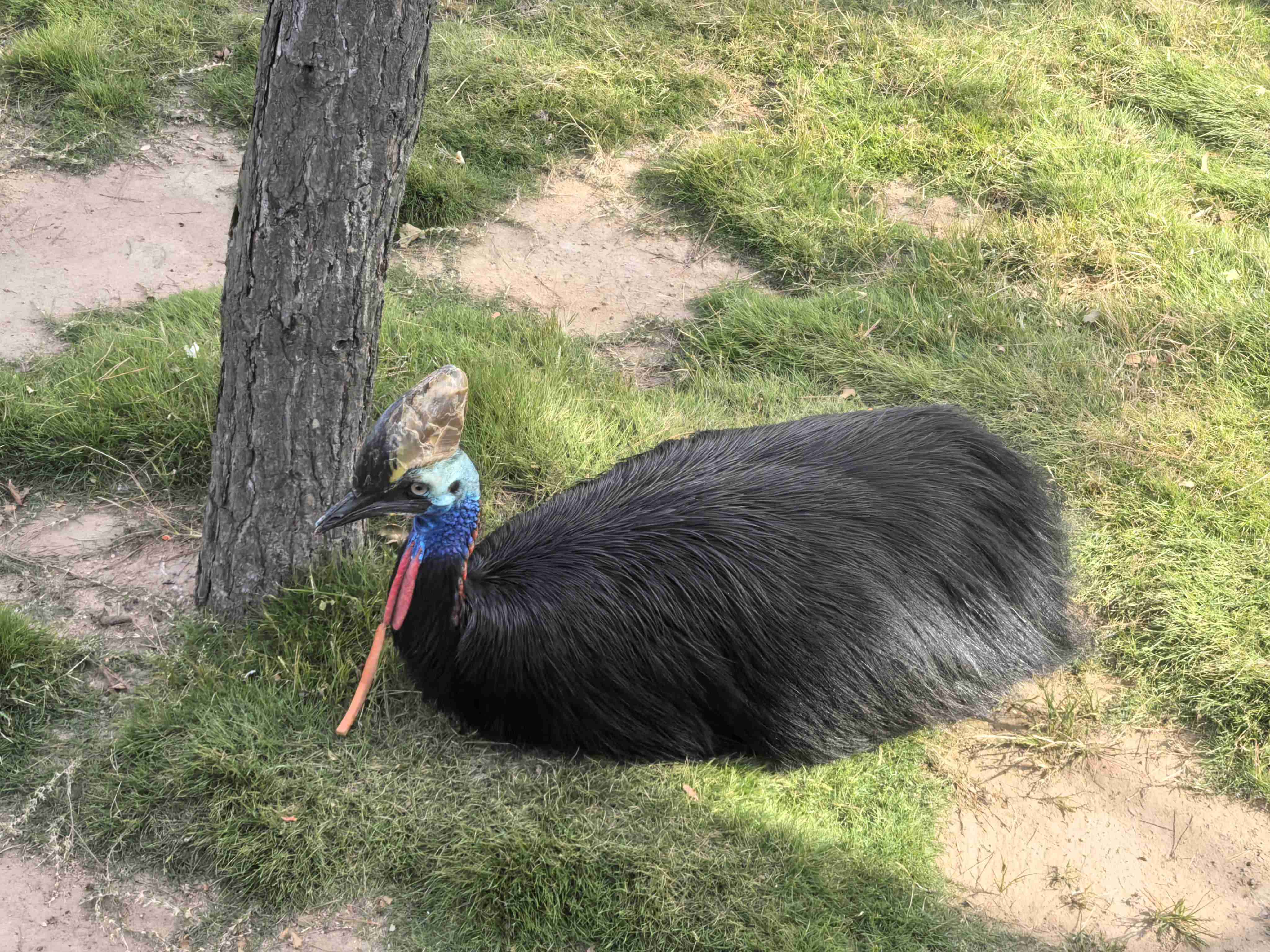 918������(�й���)�ٷ���վ